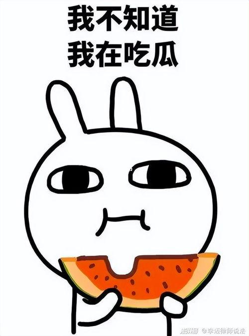 娱乐吃瓜酱名人毒舌